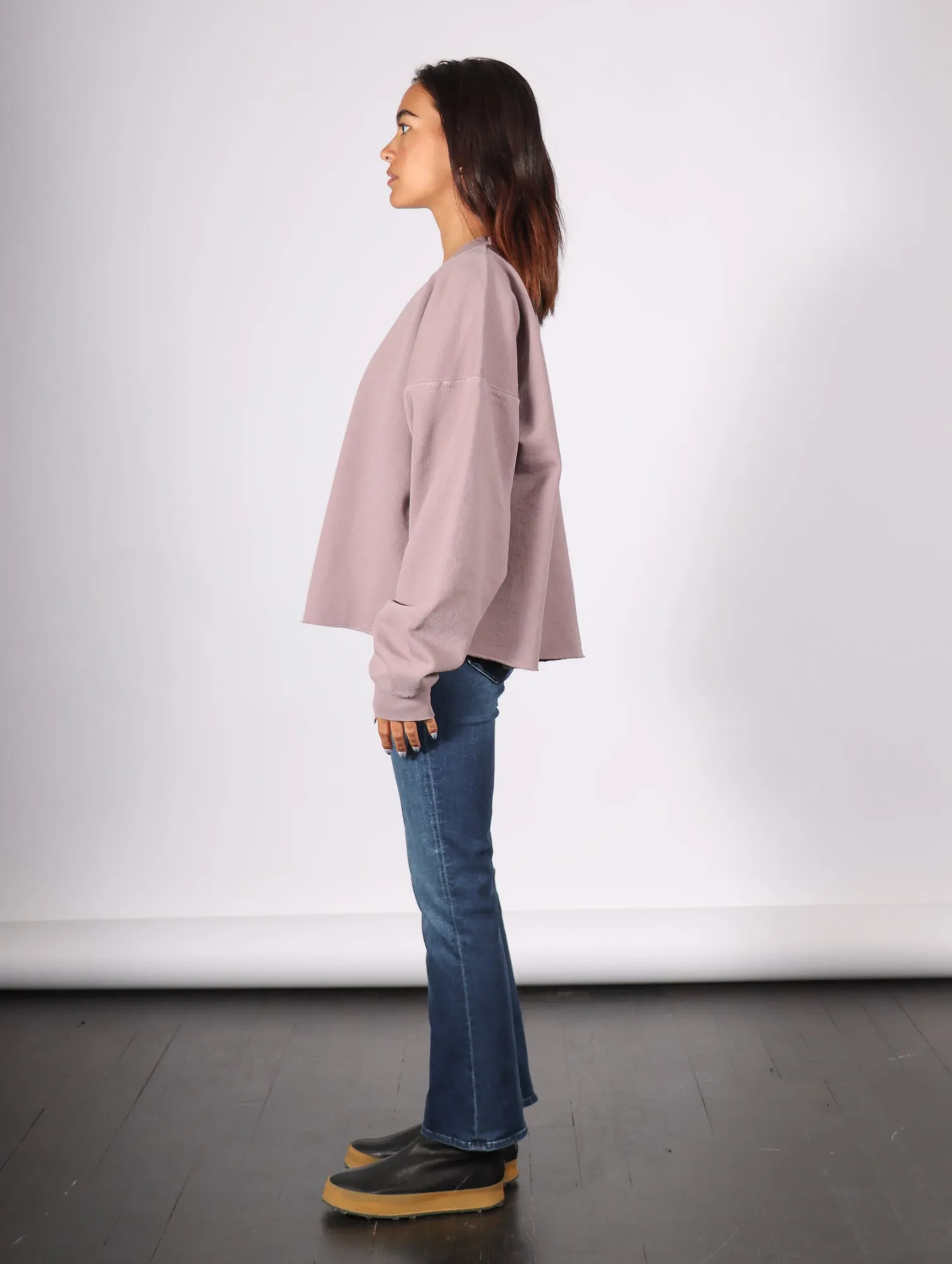 Fonder Sweatshirt in Mauve by Rachel Comey