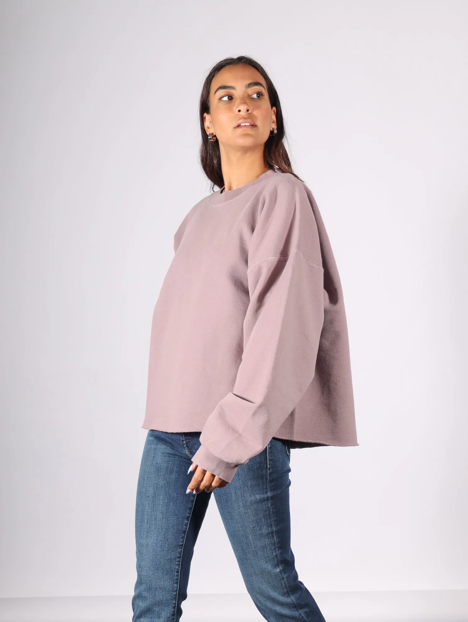 Fonder Sweatshirt in Mauve by Rachel Comey